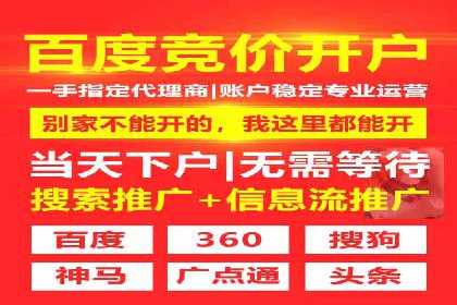 某行业sem竞价托管成功案例：精准投放的秘诀